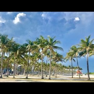 Meet your Posher, Tom